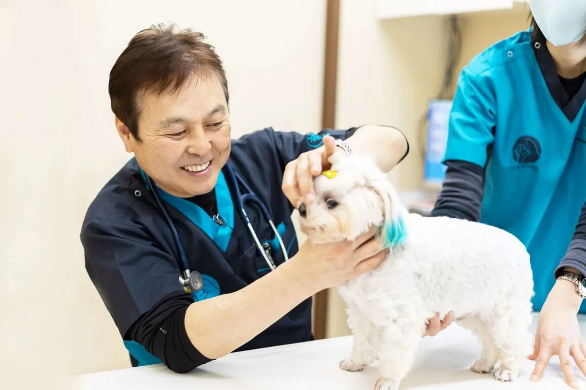 どんなお困りごとにも対応