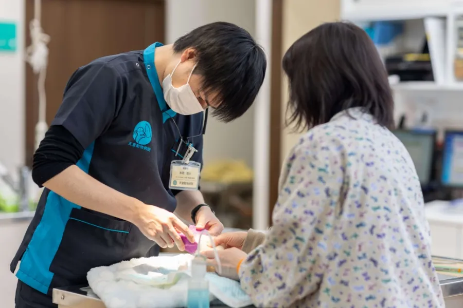 多数の獣医師・動物看護師が在籍