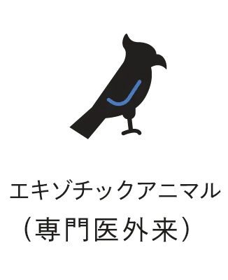 エキゾチックペット(専門医外来）